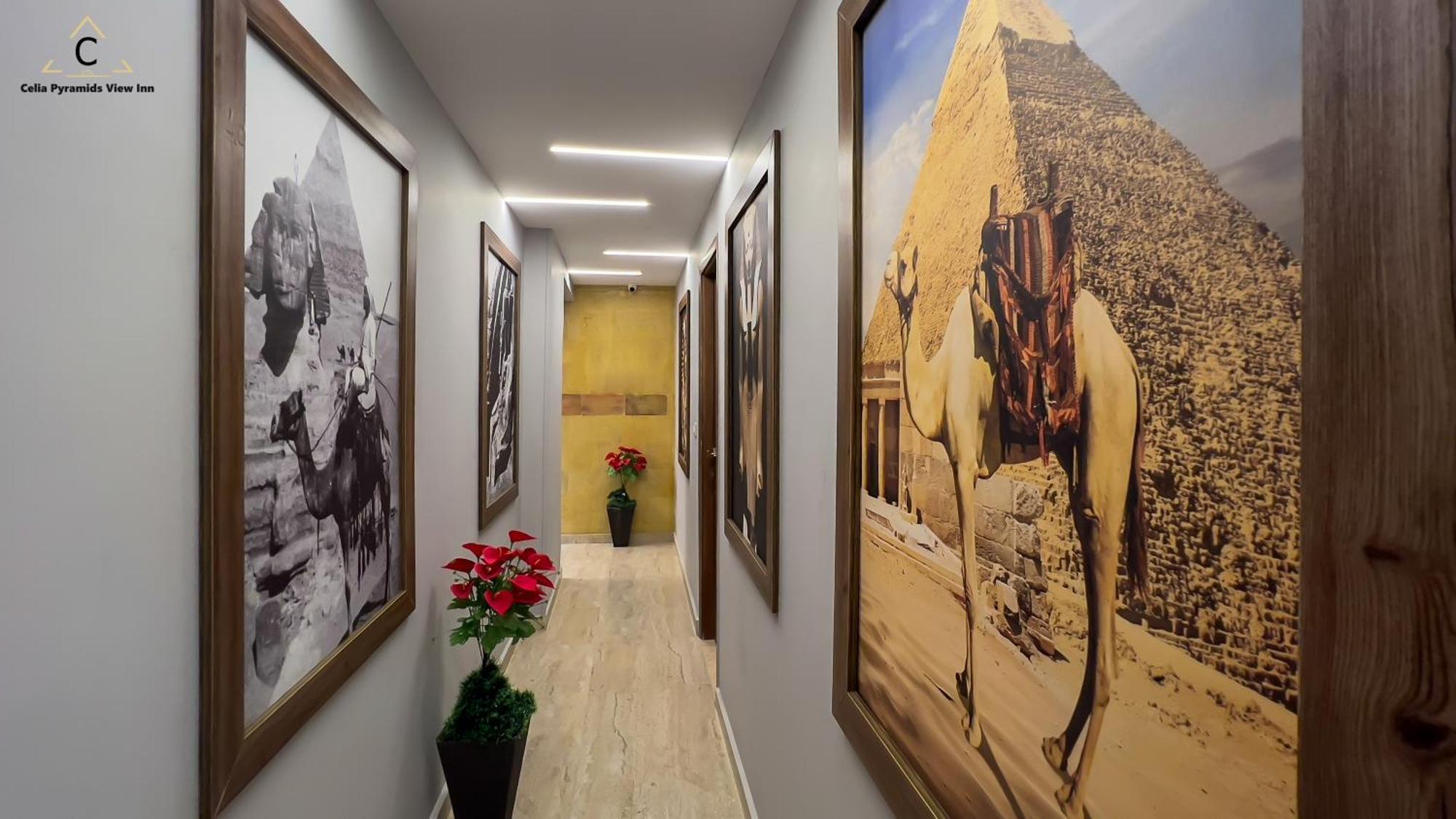 Celia Pyramids View Inn Nazlet el-Sîsi Eksteriør billede